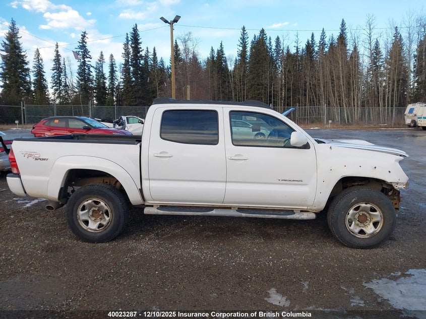 5TELU42N86Z147841 2006 TOYOTA TACOMA photo no. 14