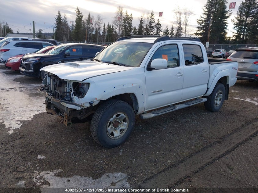 5TELU42N86Z147841 2006 TOYOTA TACOMA photo no. 2