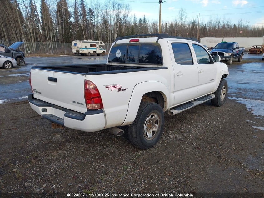 5TELU42N86Z147841 2006 TOYOTA TACOMA photo no. 4