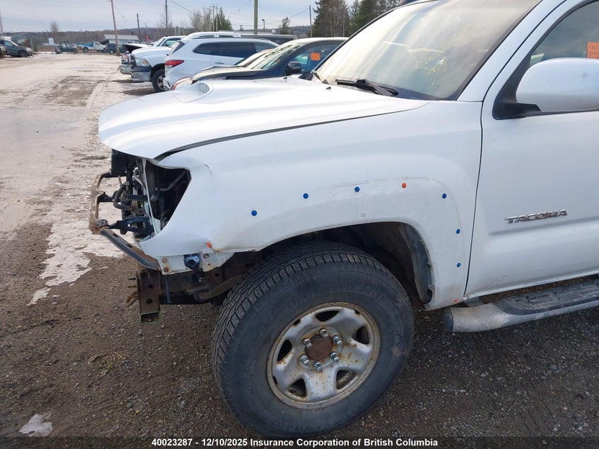 5TELU42N86Z147841 2006 TOYOTA TACOMA photo no. 6