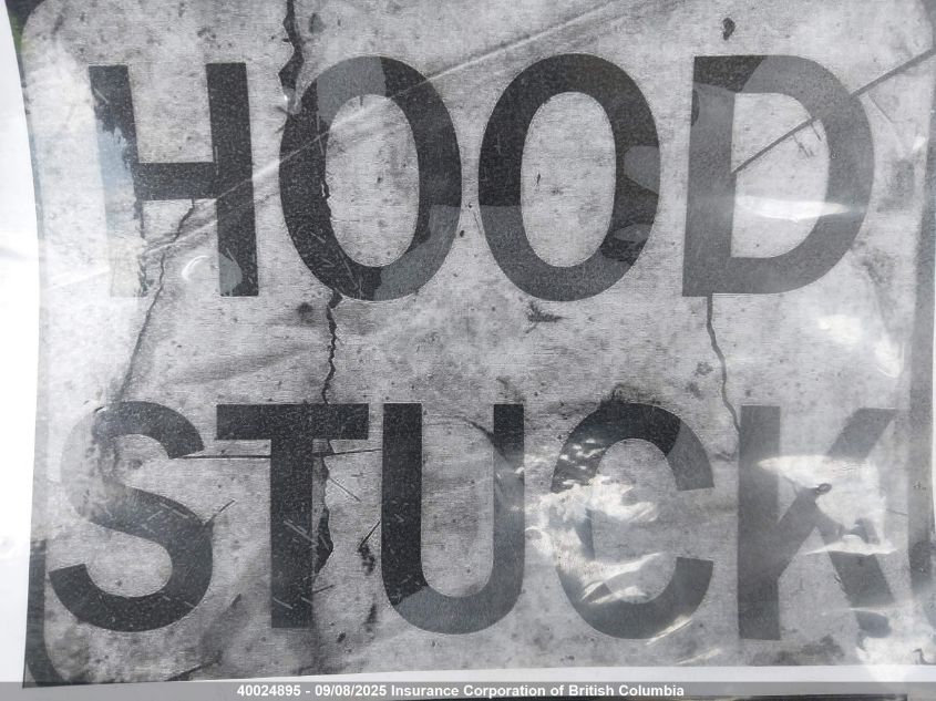 2011 Toyota Prius VIN: JTDKN3DU3B0325396 Lot: 40024895