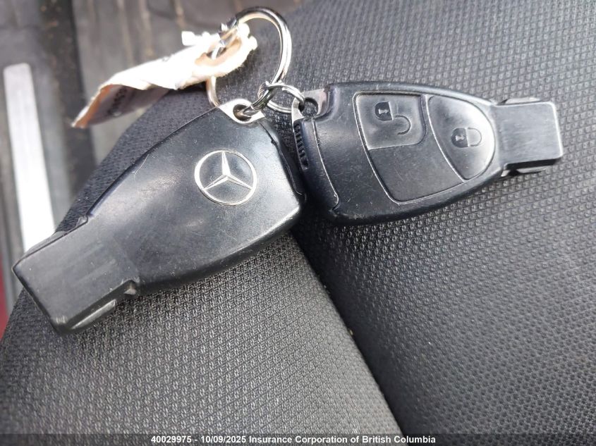 2009 Mercedes-Benz B200 VIN: WDDFH33X19J466756 Lot: 40029975