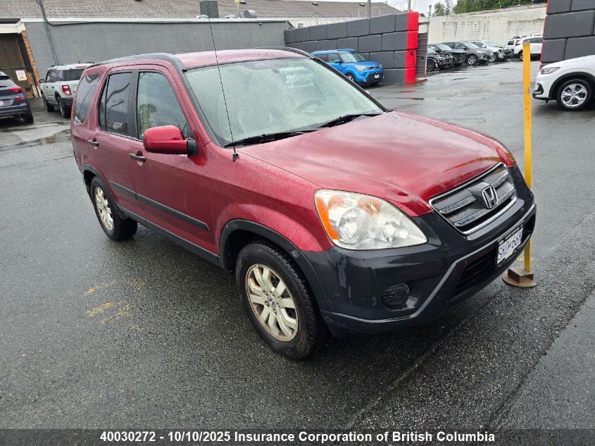 2005 Honda Cr-V VIN: JHLRD78805C802667 Lot: 40030272