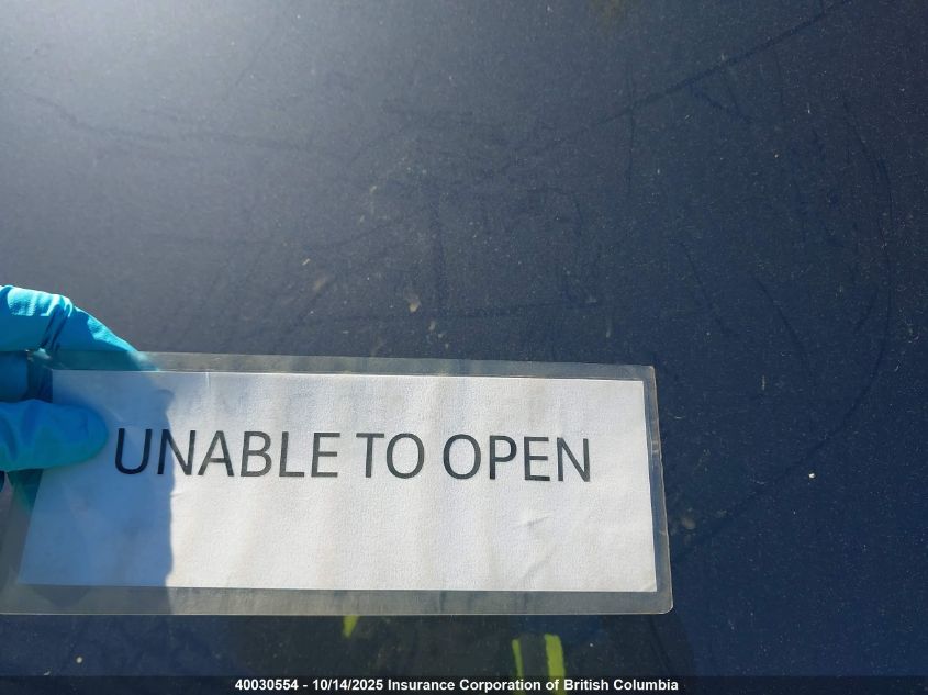 2023 Tesla Model Y VIN: 7SAYGDEE0PF776864 Lot: 40030554