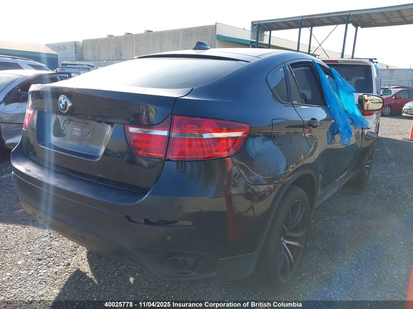 5UXFG2C54E0C44669 2014 BMW X6 photo no. 21