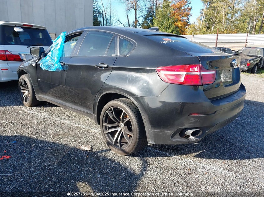 5UXFG2C54E0C44669 2014 BMW X6 photo no. 3
