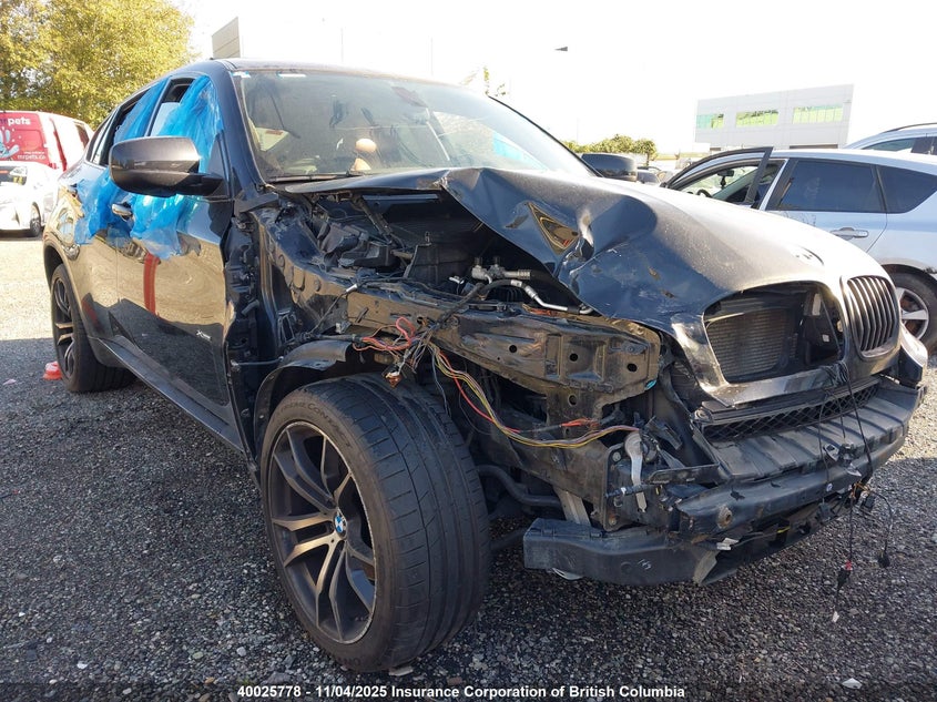 5UXFG2C54E0C44669 2014 BMW X6 photo no. 6