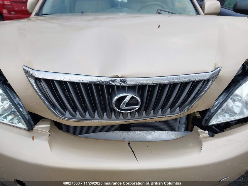 JTJHK31U792052708 2009 LEXUS RX photo no. 10