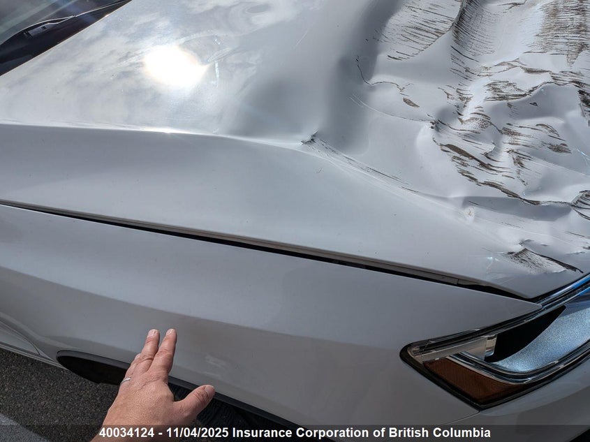 WA1LCAFP7GA014359 2016 AUDI SQ5 photo no. 14
