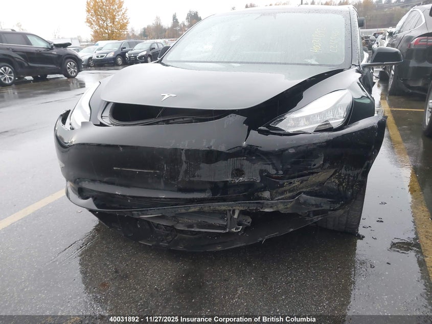 2019 Tesla Model 3 VIN: 5YJ3E1EA3KF399769 Lot: 40031892