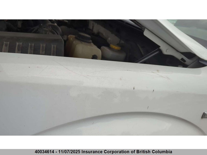 2014 Ford F150 VIN: 1FTVW1ET9EKE03841 Lot: 40034614