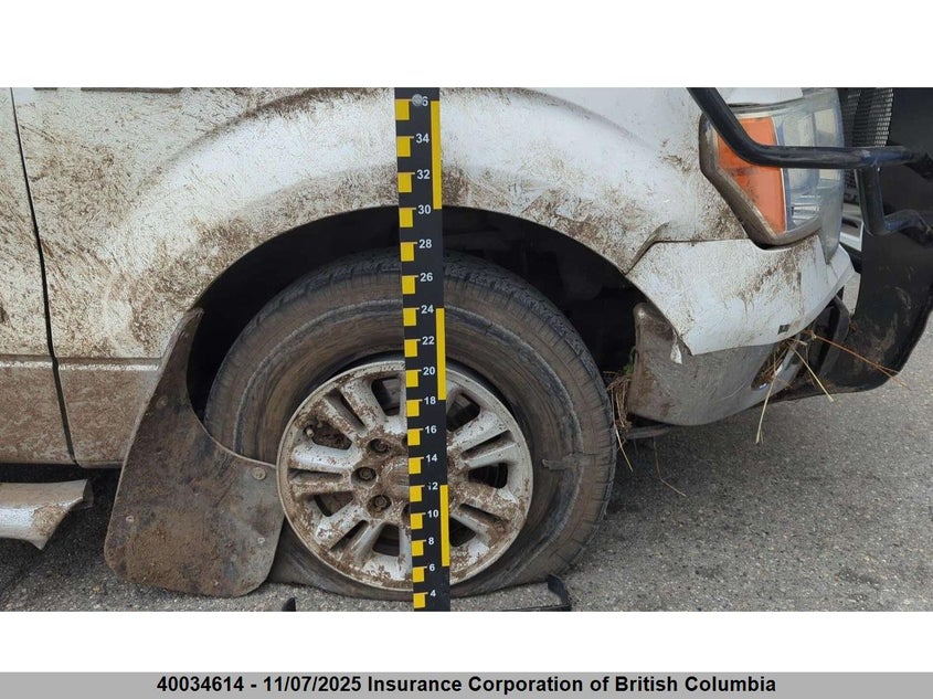 2014 Ford F150 VIN: 1FTVW1ET9EKE03841 Lot: 40034614