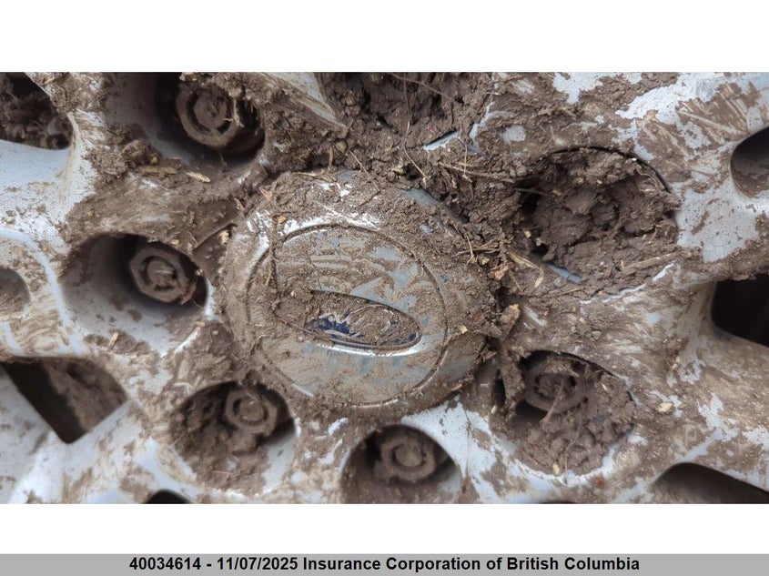 2014 Ford F150 VIN: 1FTVW1ET9EKE03841 Lot: 40034614