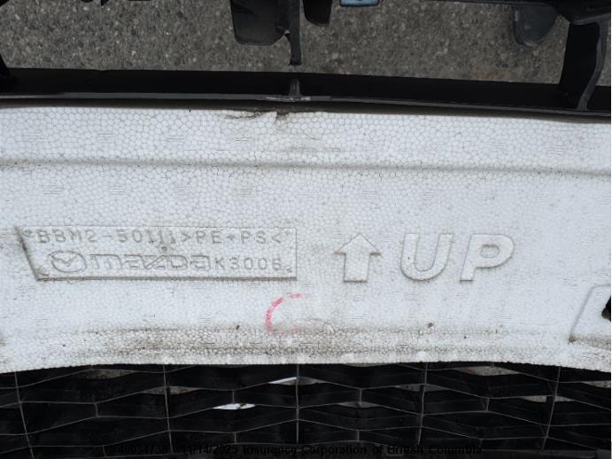 2011 Mazda 3 I VIN: JM1BL1KF2B1397876 Lot: 40034738