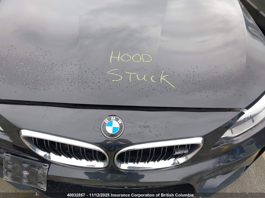 WBS1H9C52GV351880 2016 BMW M2 photo no. 10
