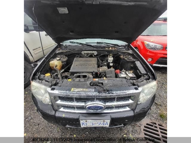 2011 Ford Escape Xlt VIN: 1FMCU9DG2BKA01599 Lot: 40035264