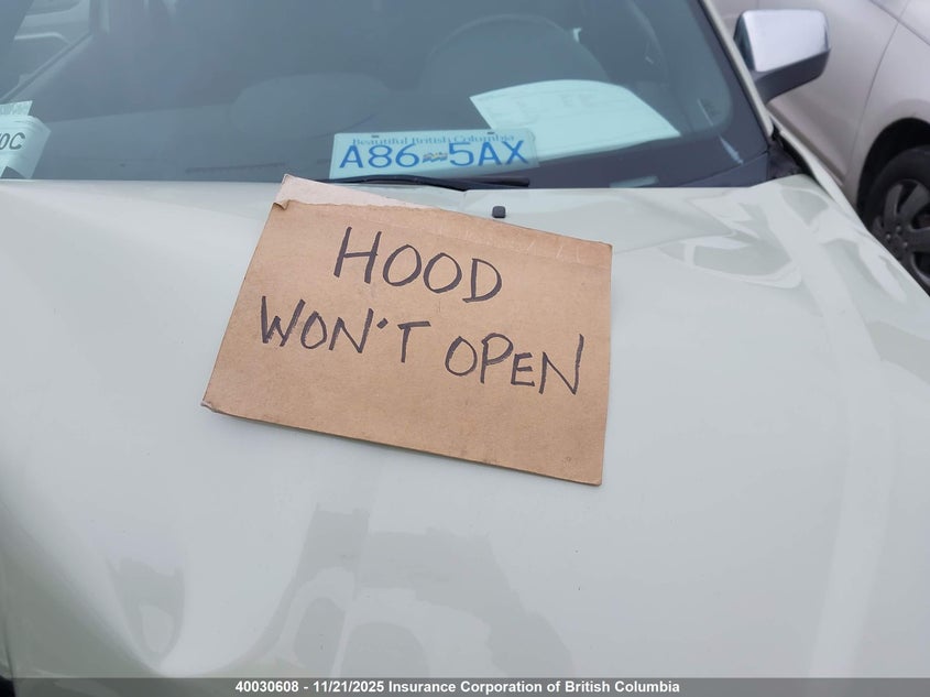 1FAHP3FN0AW244951 2010 FORD FOCUS photo no. 10