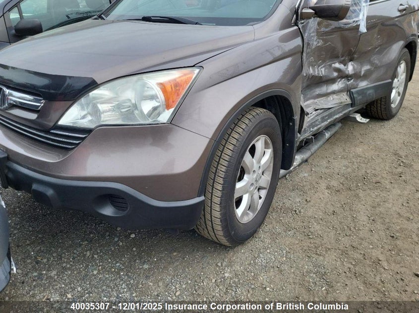 5J6RE48729L801021 2009 HONDA CR-V photo no. 6