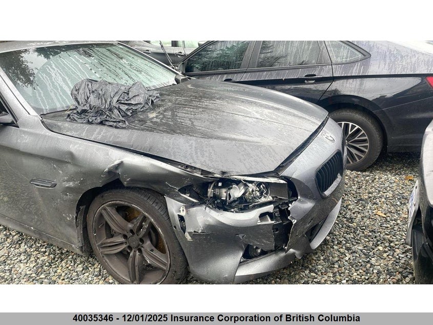 WBA5B3C56FD546809 2015 BMW 5ER photo no. 19