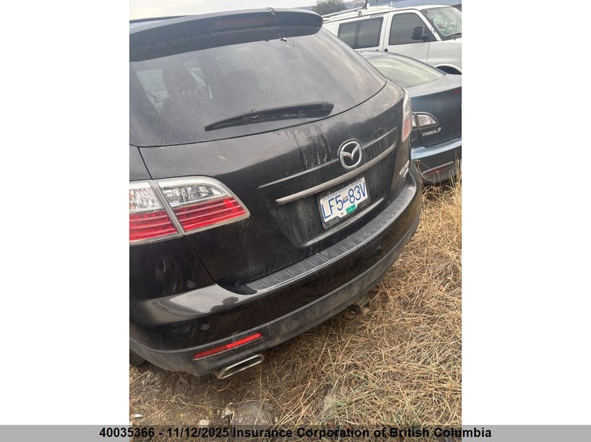 JM3TB3MA8A0216232 2010 MAZDA CX-9 photo no. 5