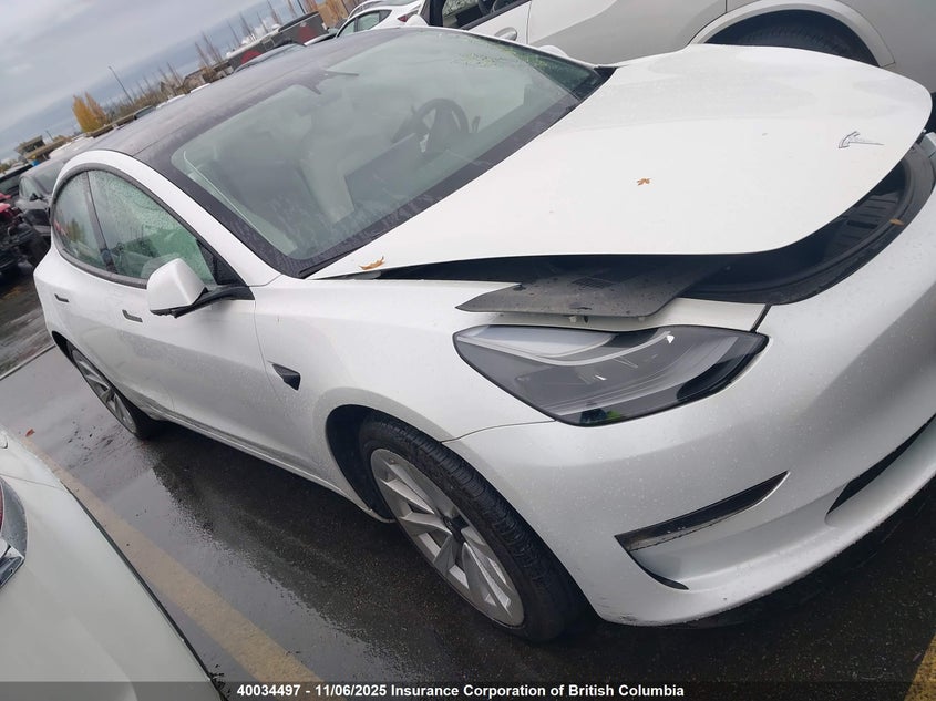 2023 Tesla Model 3 VIN: 5YJ3E1EA8PF559099 Lot: 40034497