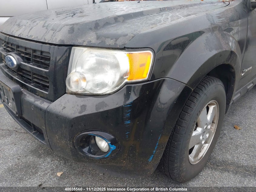 1FMCU59329KB46201 2009 FORD ESCAPE photo no. 6