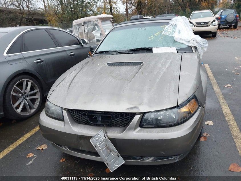 1FAFP44402F144177 2002 FORD MUSTANG photo no. 13