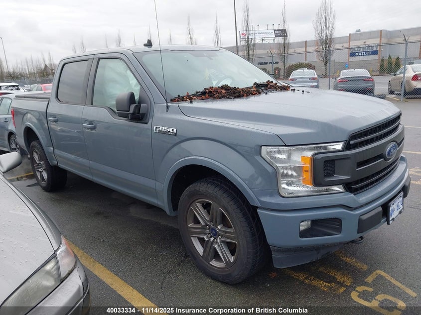 1FTEW1EP2LKE31285 2020 FORD F-150 photo no. 10