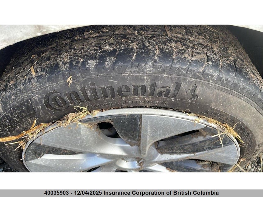 7SAYGDEE9PF773686 2023 TESLA MODEL Y photo no. 6