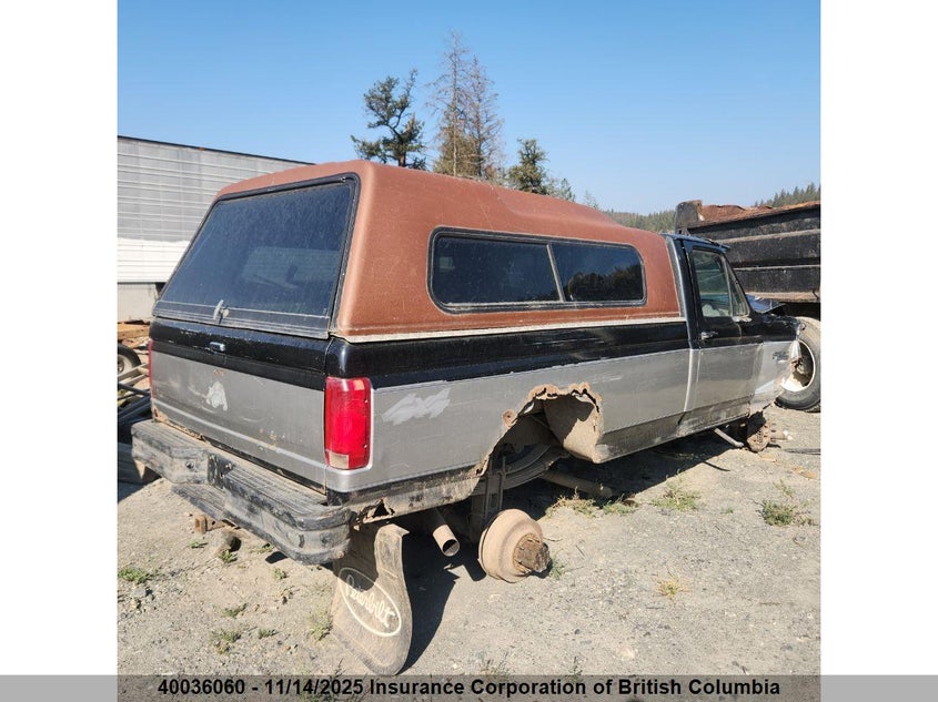 2BG607280RCA36446 1994 FORD F-150 photo no. 3
