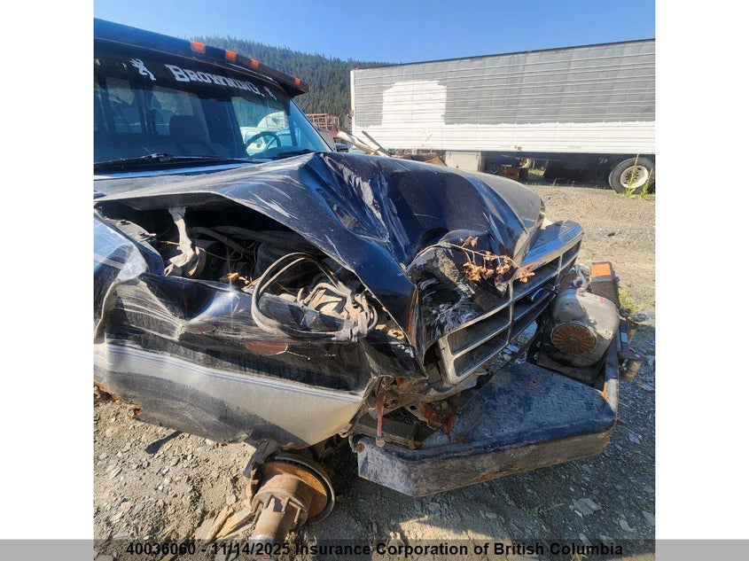2BG607280RCA36446 1994 FORD F-150 photo no. 7