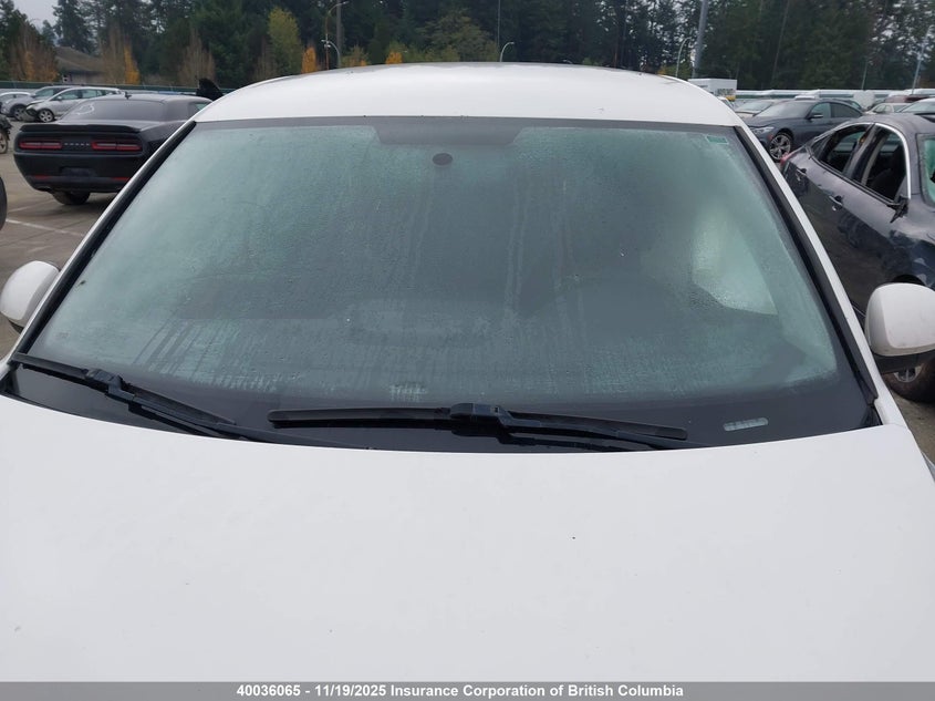 WVGCV7AX0AW513200 2010 VOLKSWAGEN TIGUAN photo no. 17