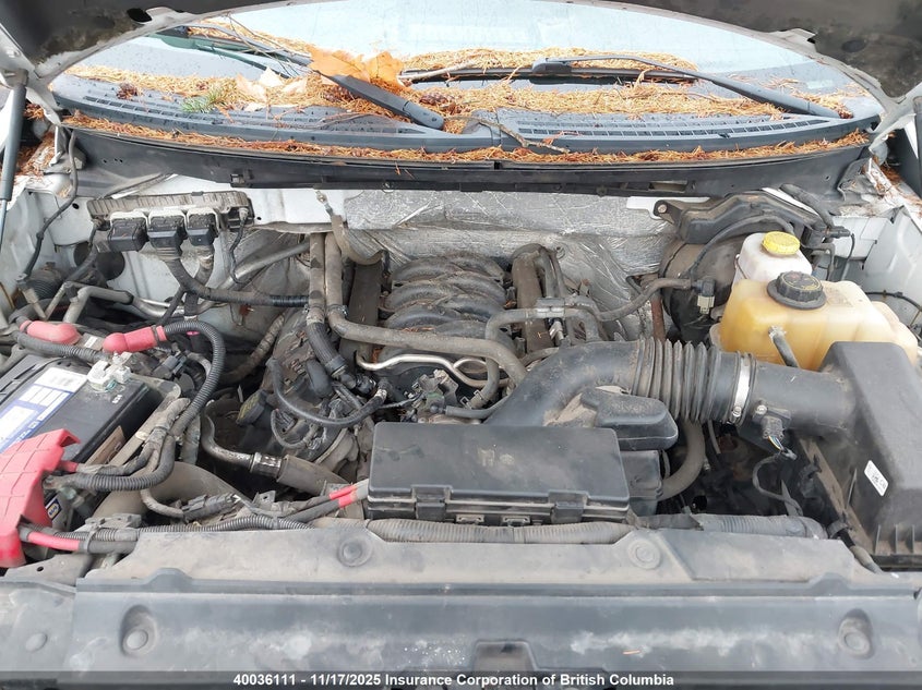 1FTFX1EF1EKD85802 2014 FORD F-150 photo no. 10