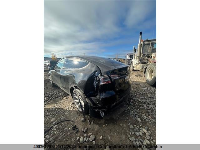 7SAYGDED4RF012462 2024 TESLA MODEL Y photo no. 3