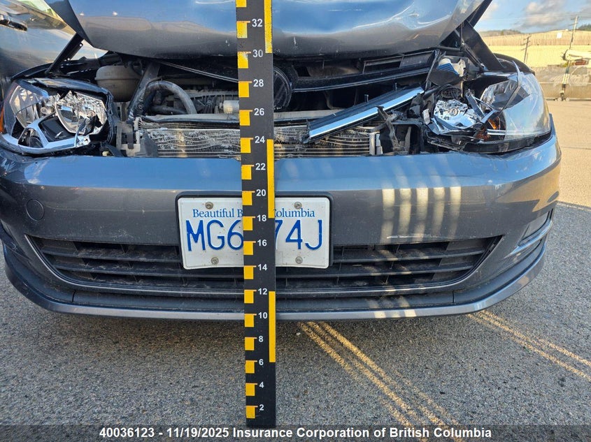 2017 Volkswagen Golf VIN: 3VW217AU6HM046812 Lot: 40036123