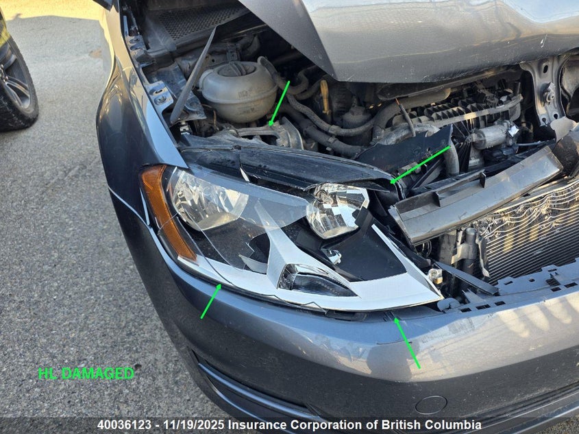 2017 Volkswagen Golf VIN: 3VW217AU6HM046812 Lot: 40036123