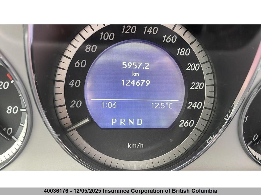 WDDGF85X99F218200 2009 MERCEDES-BENZ  photo no. 8