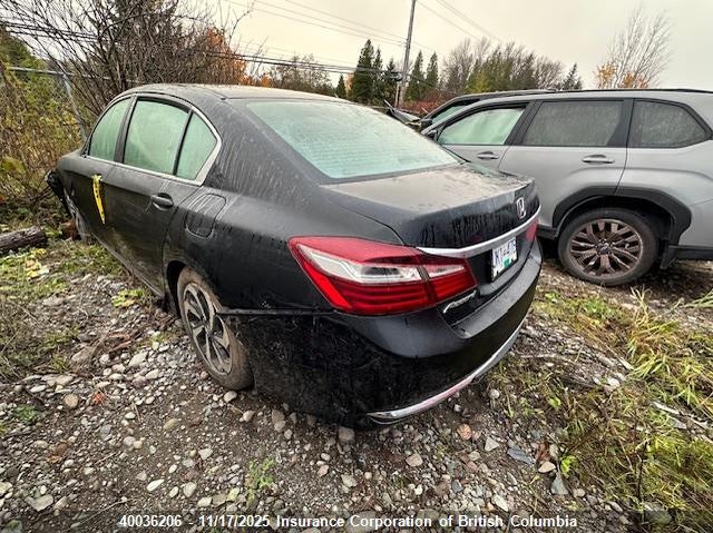 1HGCR2F33HA804445 2017 HONDA ACCORD photo no. 4