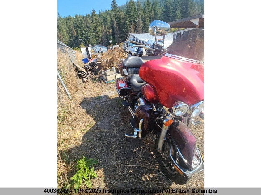 5HD1FC4199Y629172 2009 HARLEY-DAVIDSON ELECTRA GLIDE photo no. 5