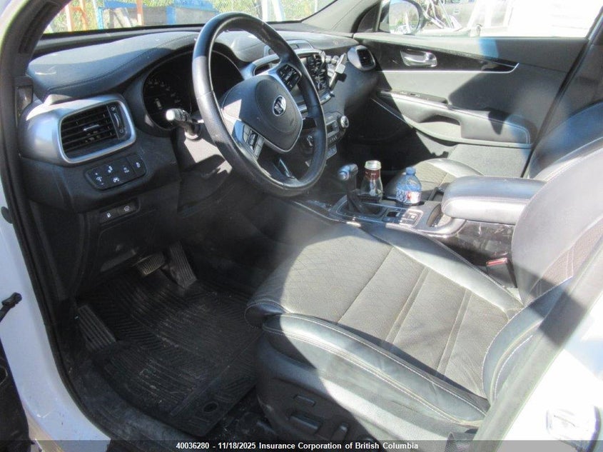 5XYPKDA55KG607065 2019 KIA SORENTO photo no. 8