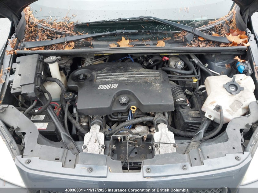 1GNDV23WX8D173874 2008 CHEVROLET UPLANDER photo no. 10