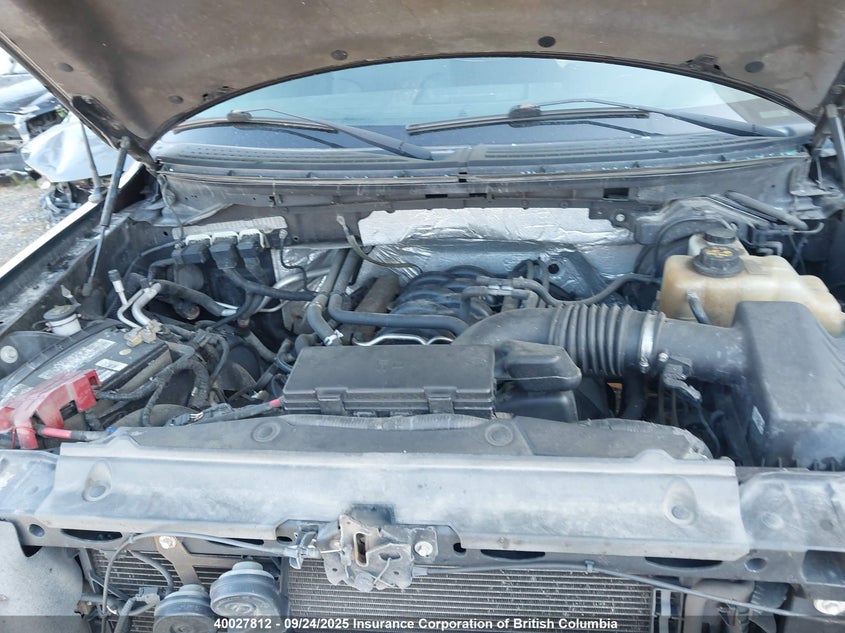 1FTFW1EF4DKD67022 2013 FORD F-150 photo no. 10