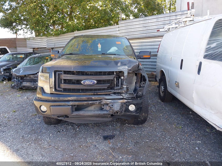 1FTFW1EF4DKD67022 2013 FORD F-150 photo no. 13