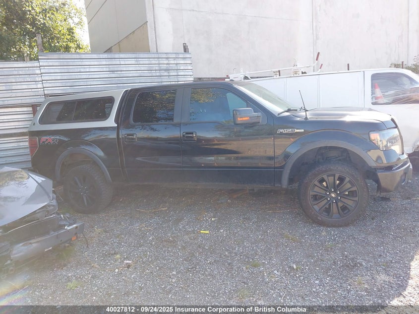 1FTFW1EF4DKD67022 2013 FORD F-150 photo no. 14