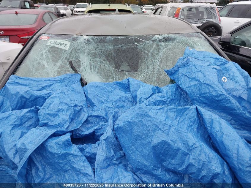 2021 Toyota C-Hr Xle/Le/Night Shade/Limited VIN: JTNKHMBX9M1103755 Lot: 40035726