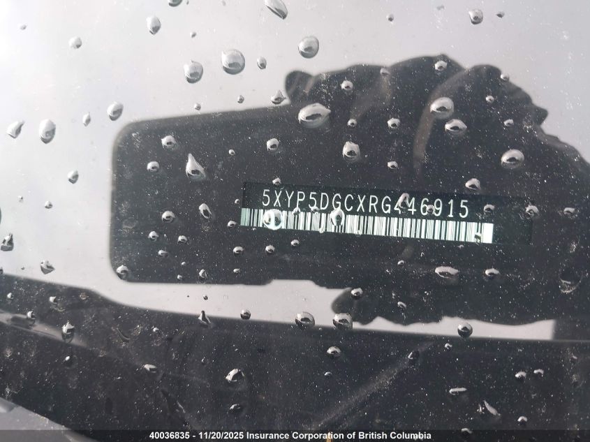 2024 Kia Telluride Sx/Sx Limited/X-Line/X-Pro VIN: 5XYP5DGCXRG446915 Lot: 40036835