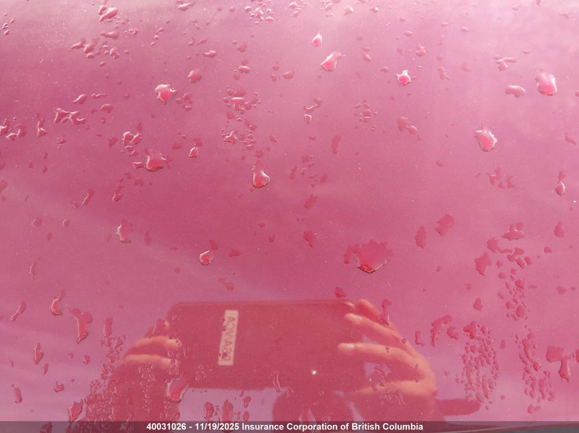 2014 Ford Mustang VIN: 1ZVBP8AM4E5323429 Lot: 40031026