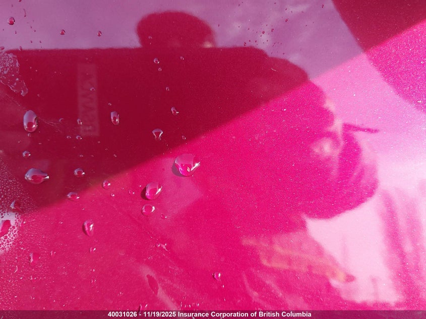 2014 Ford Mustang VIN: 1ZVBP8AM4E5323429 Lot: 40031026