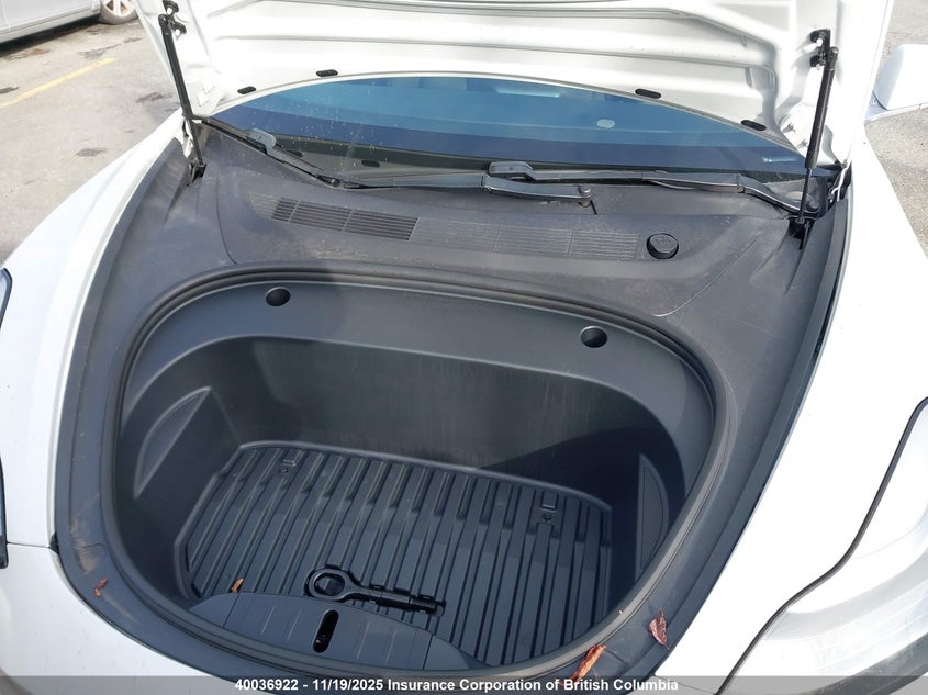 5YJ3E1EAXLF794517 2020 TESLA MODEL 3 photo no. 10