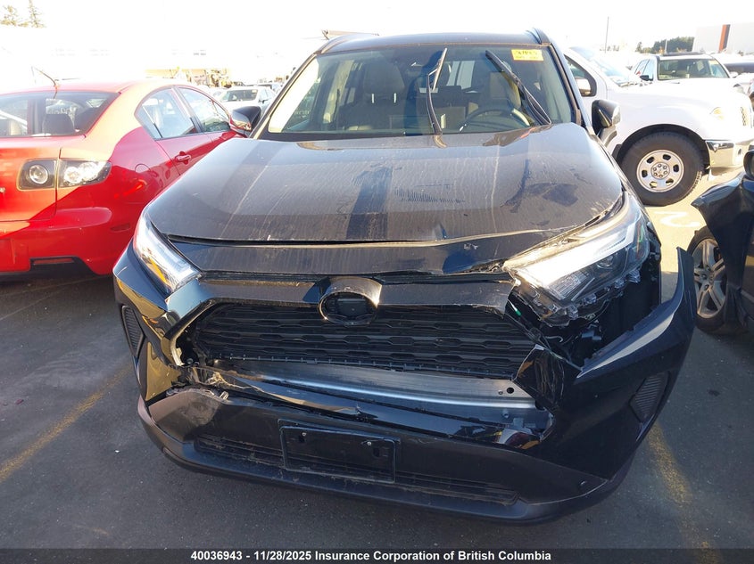 2025 Toyota Rav4 VIN: 2T3RWRFV7SW282312 Lot: 40036943